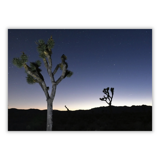 Joshua Tree Twilight