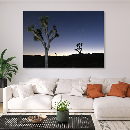 Joshua Tree Twilight