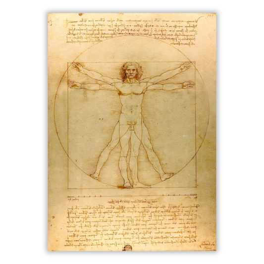 Leonardo Da Vinci - Vitruvian Man