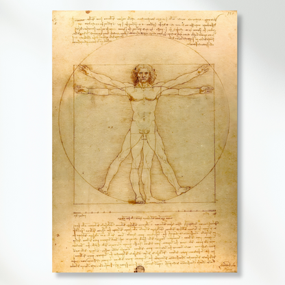 Leonardo Da Vinci - Vitruvian Man