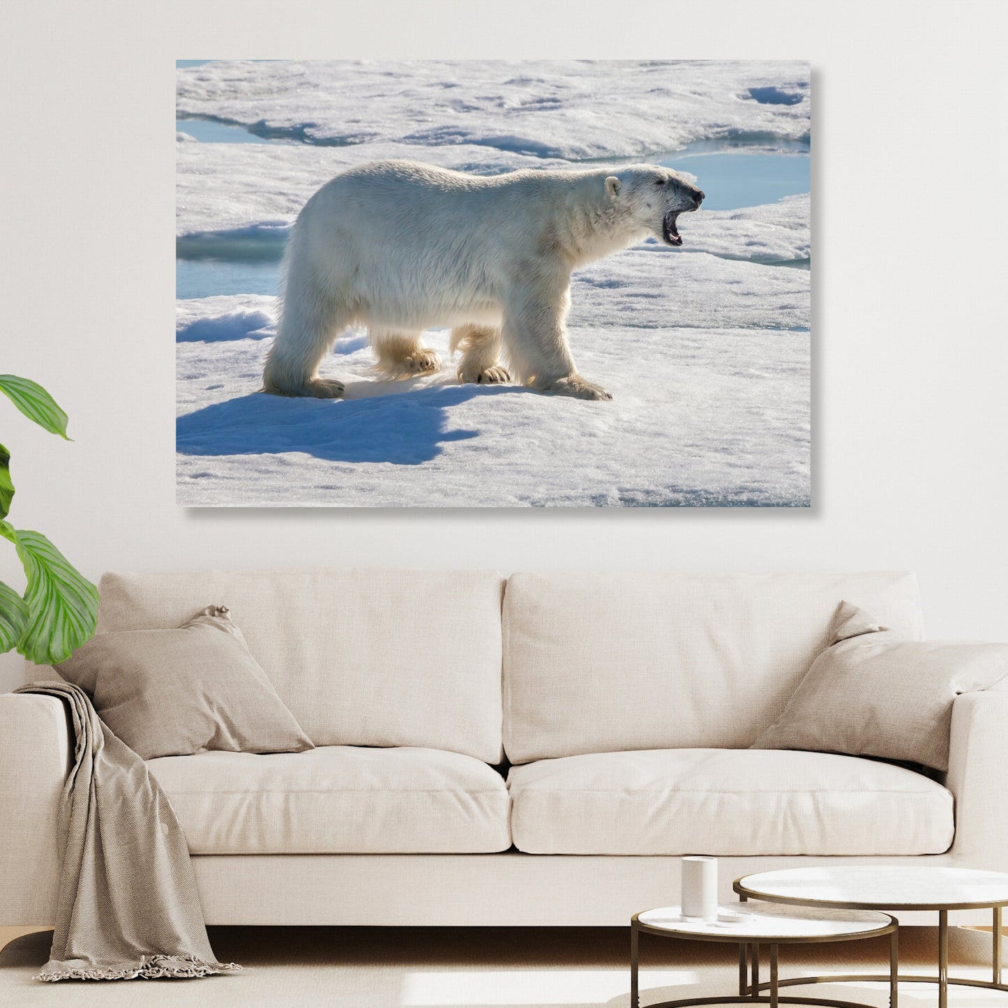 Polar Bear Animal Kingdom Wall Art Canvas Print