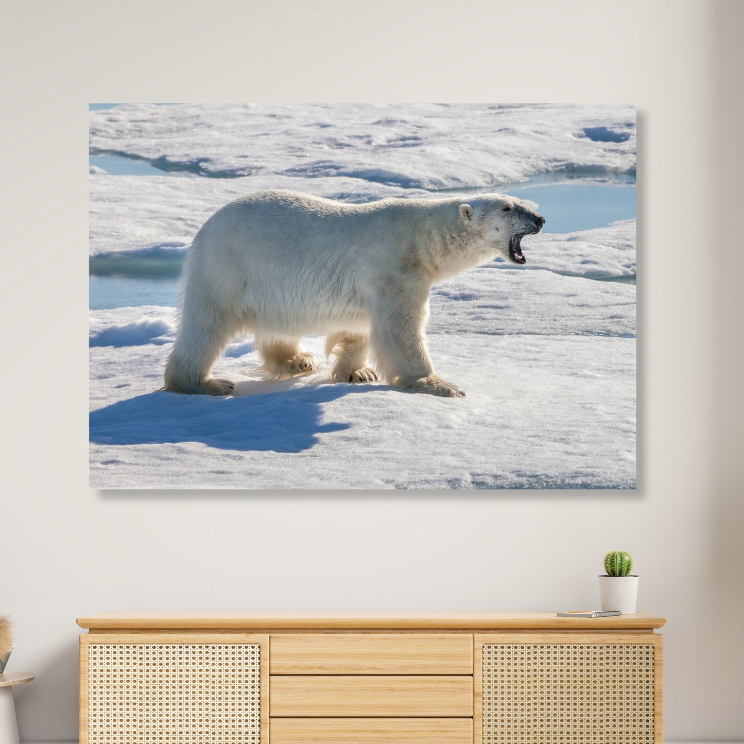 Polar Bear Animal Kingdom Wall Art Canvas Print