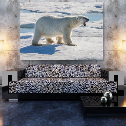 Polar Bear Animal Kingdom Wall Art Canvas Print