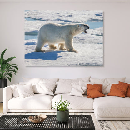 Polar Bear Animal Kingdom Wall Art Canvas Print