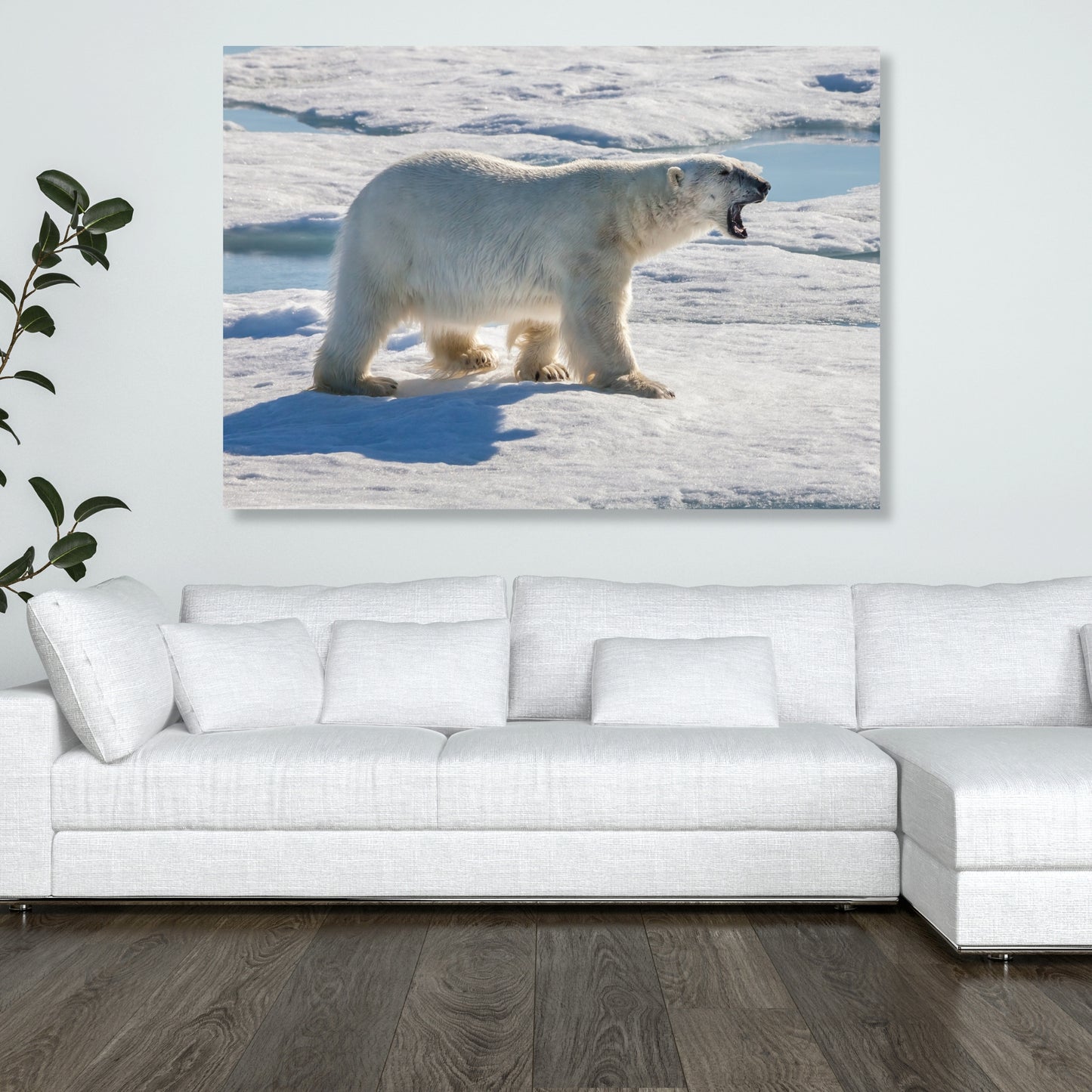 Polar Bear Animal Kingdom Wall Art Canvas Print
