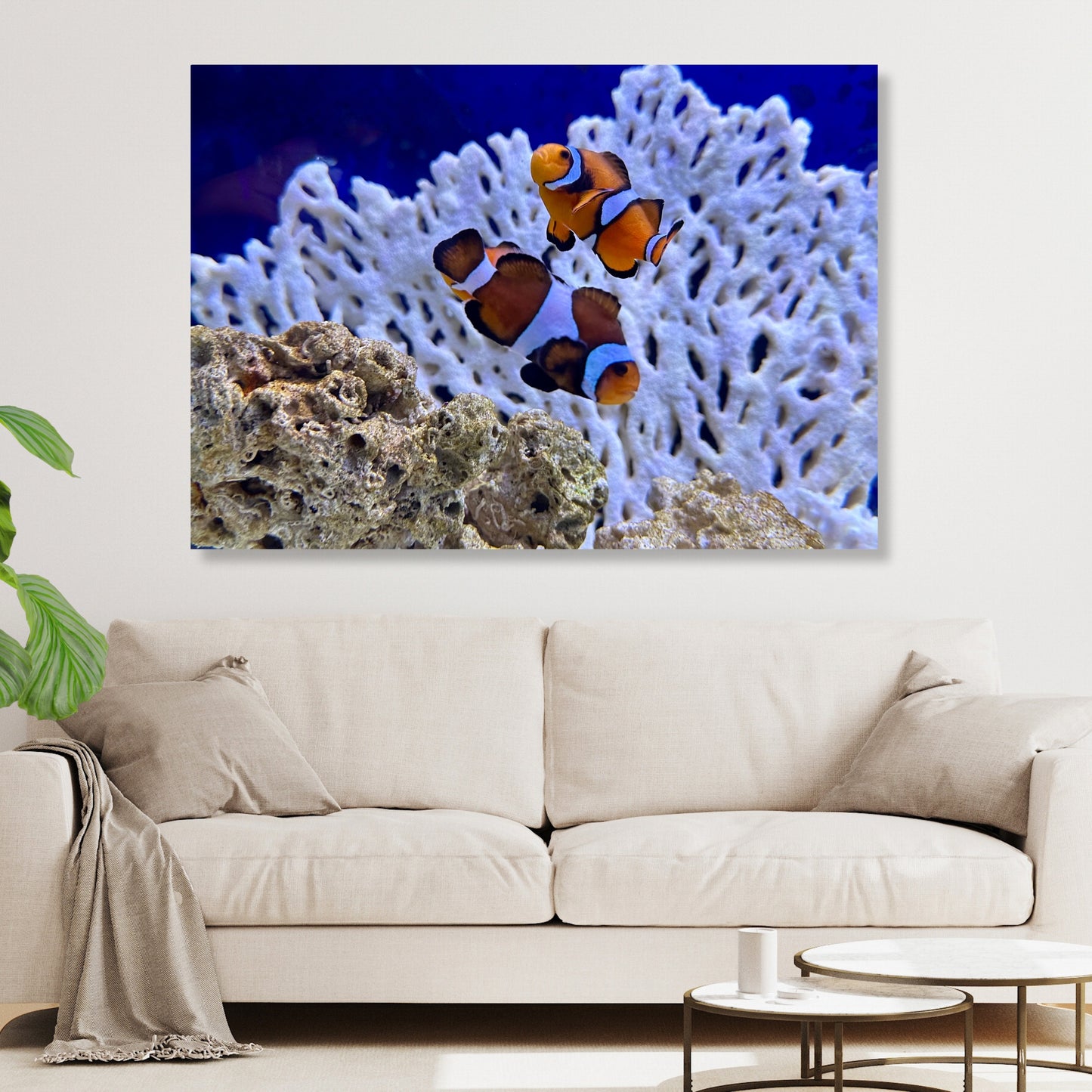 Clownfish Wall Art Canvas Print