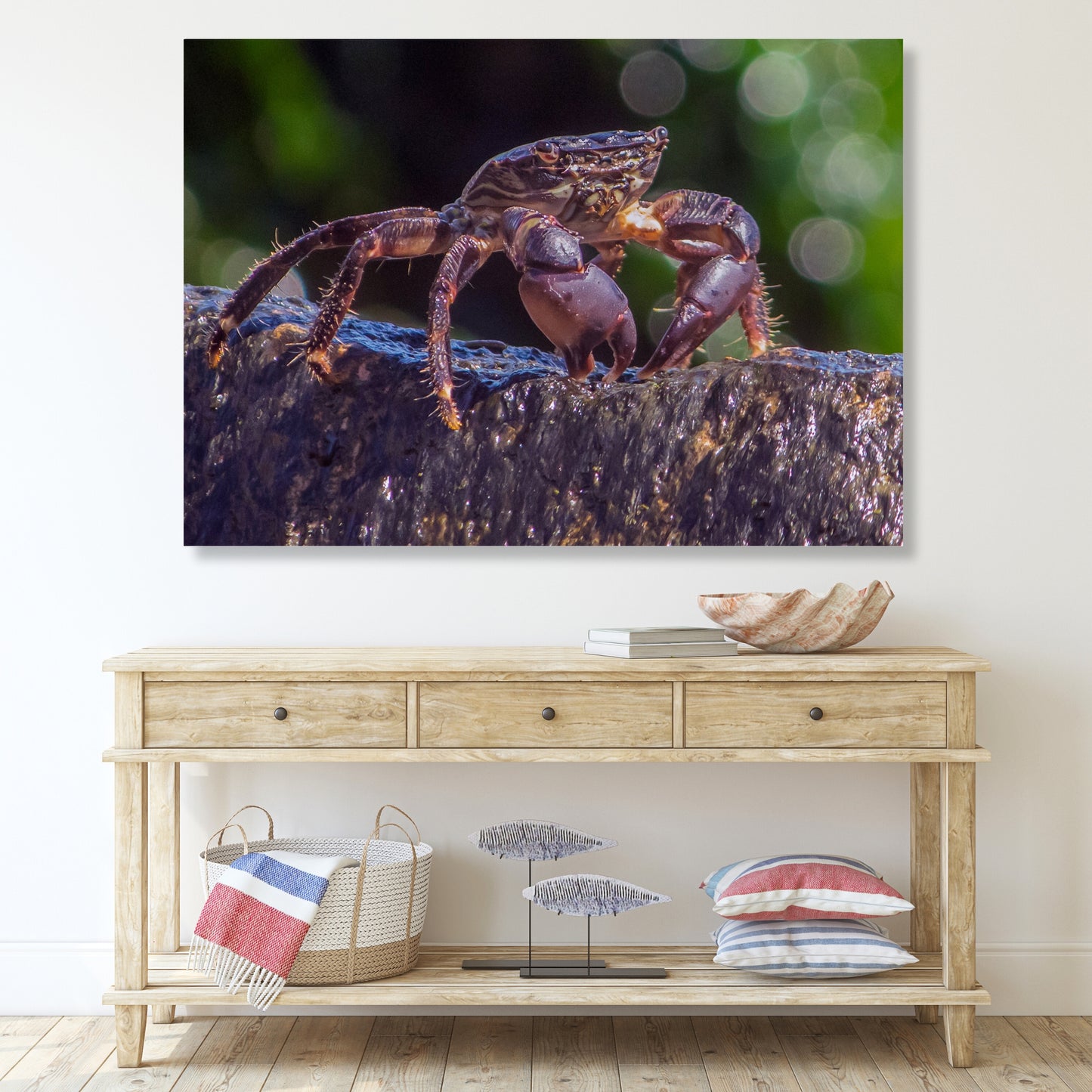 Inquisitive Crab Wall Art Canvas Print