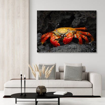 Mr Crab Wall Art Canvas Print
