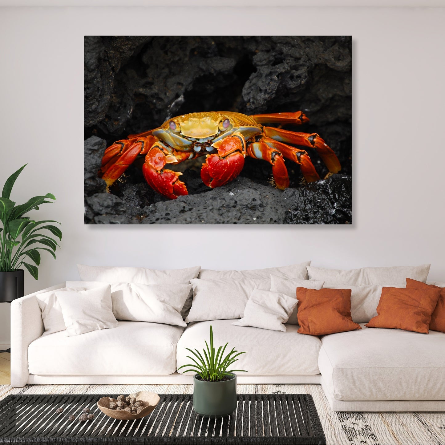 Mr Crab Wall Art Canvas Print