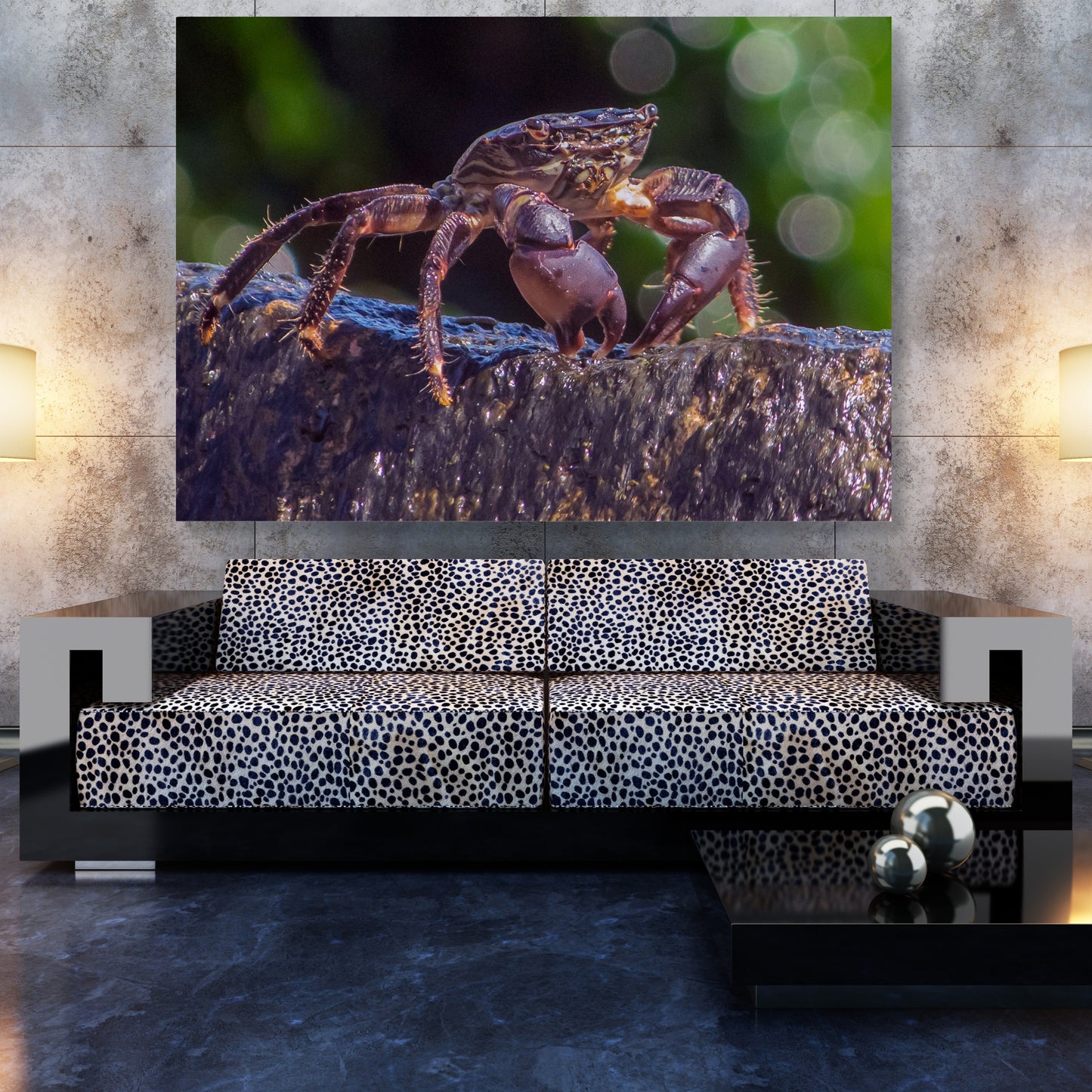Inquisitive Crab Wall Art Canvas Print