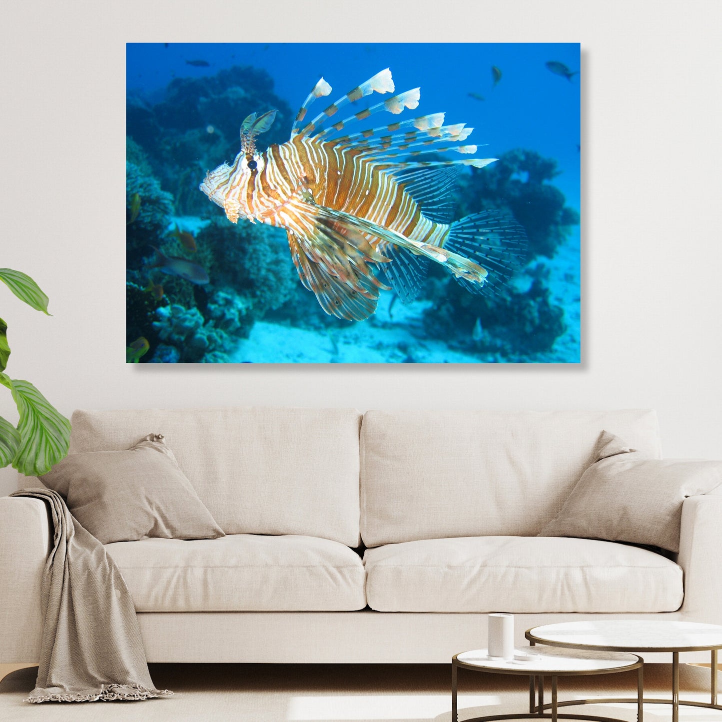 Lion Fish Wall Art Canvas Print