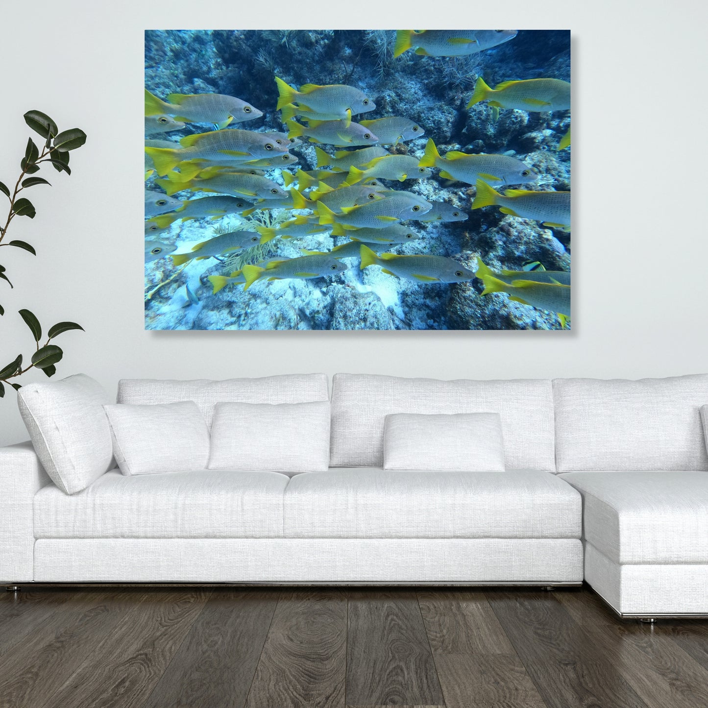 Fish Beauty Wall Art Canvas Print