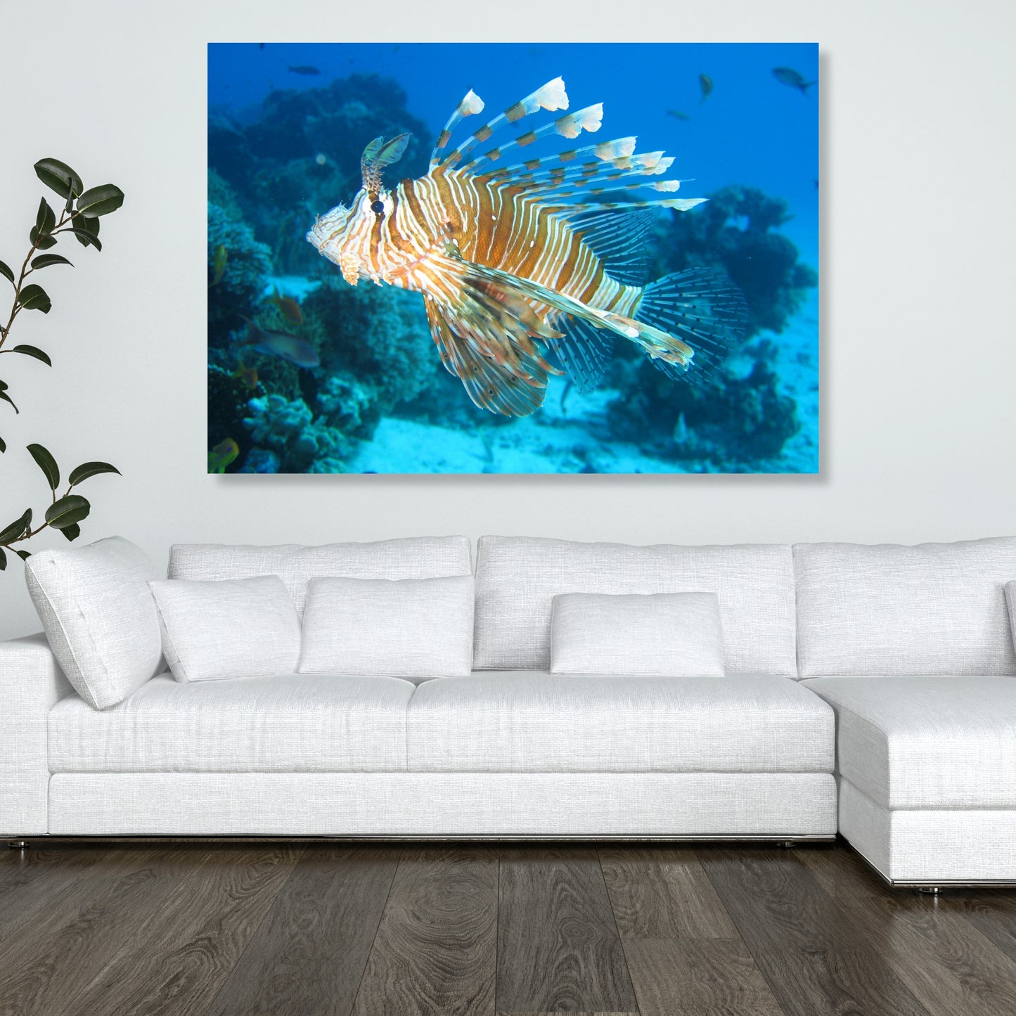 Lion Fish Wall Art Canvas Print