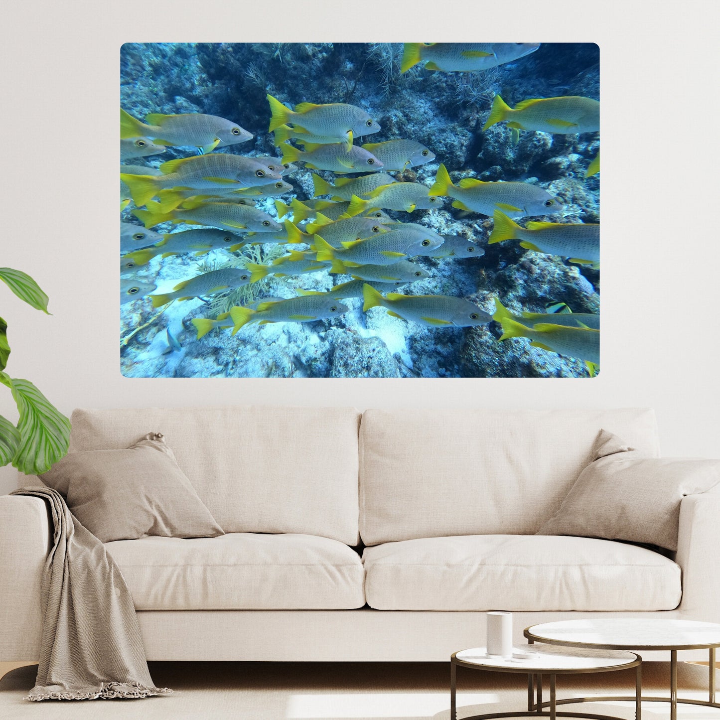 Fish Beauty Wall Art Canvas Print