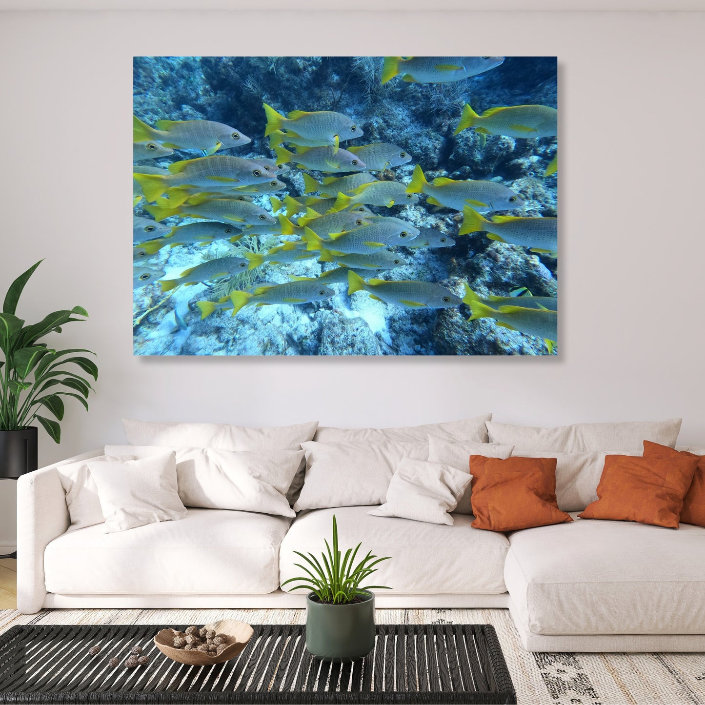 Fish Beauty Wall Art Canvas Print