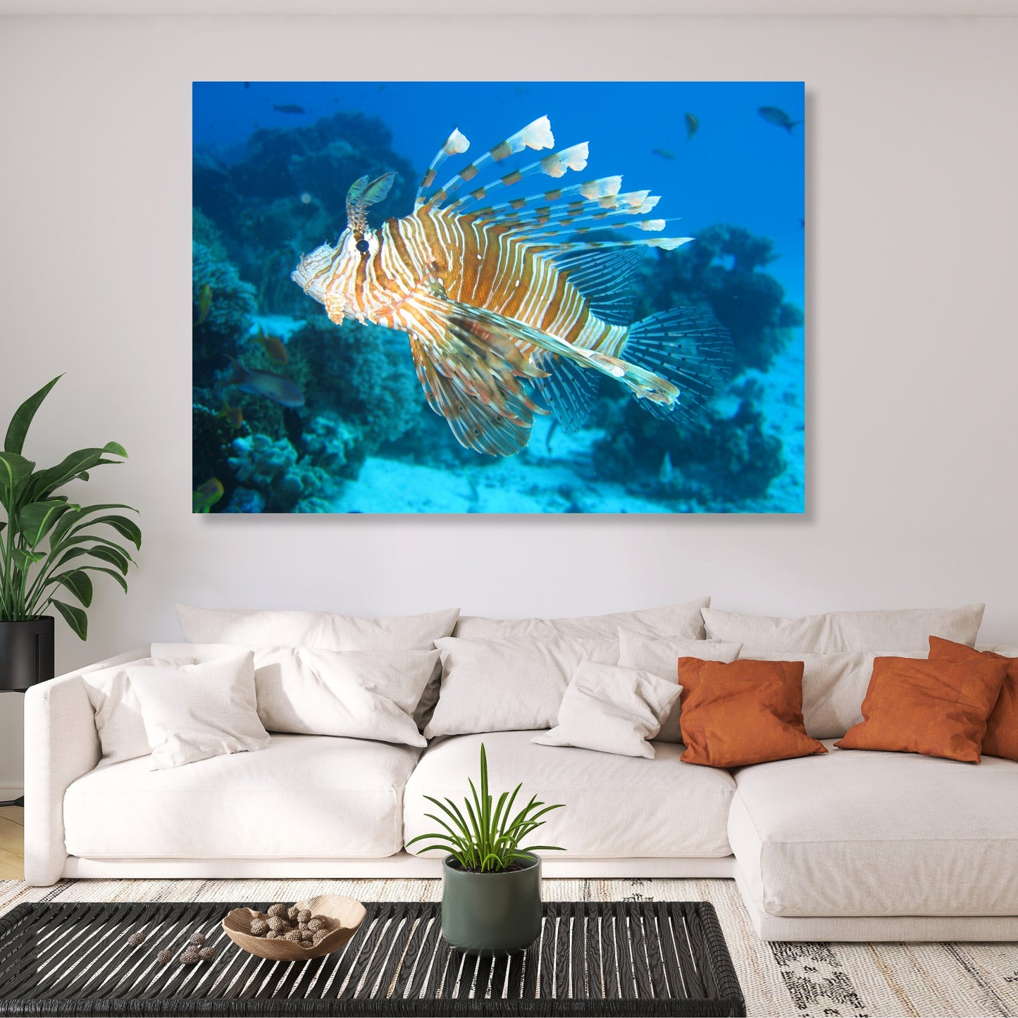 Lion Fish Wall Art Canvas Print