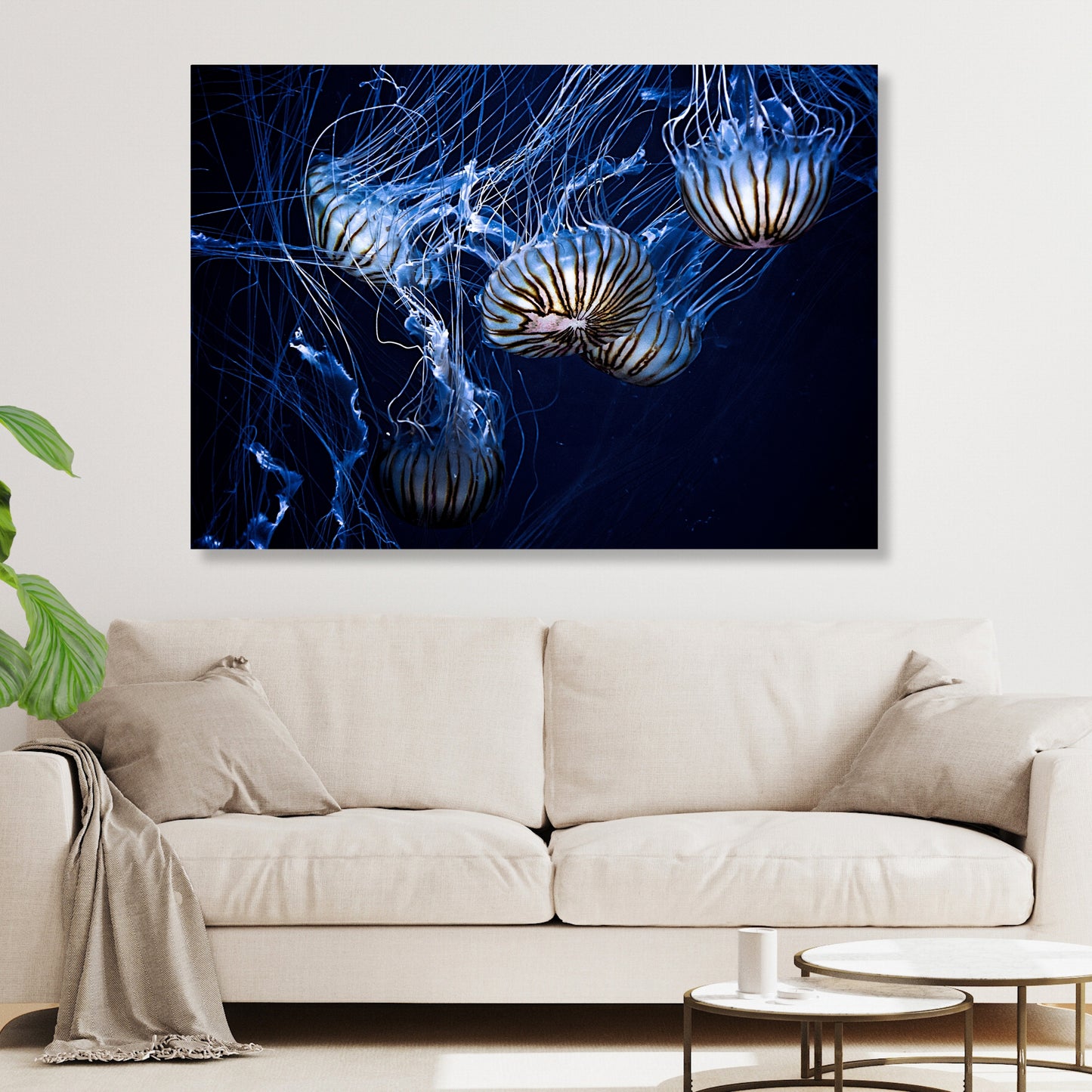 Jellyfish Glow Wall Art Canvas Print