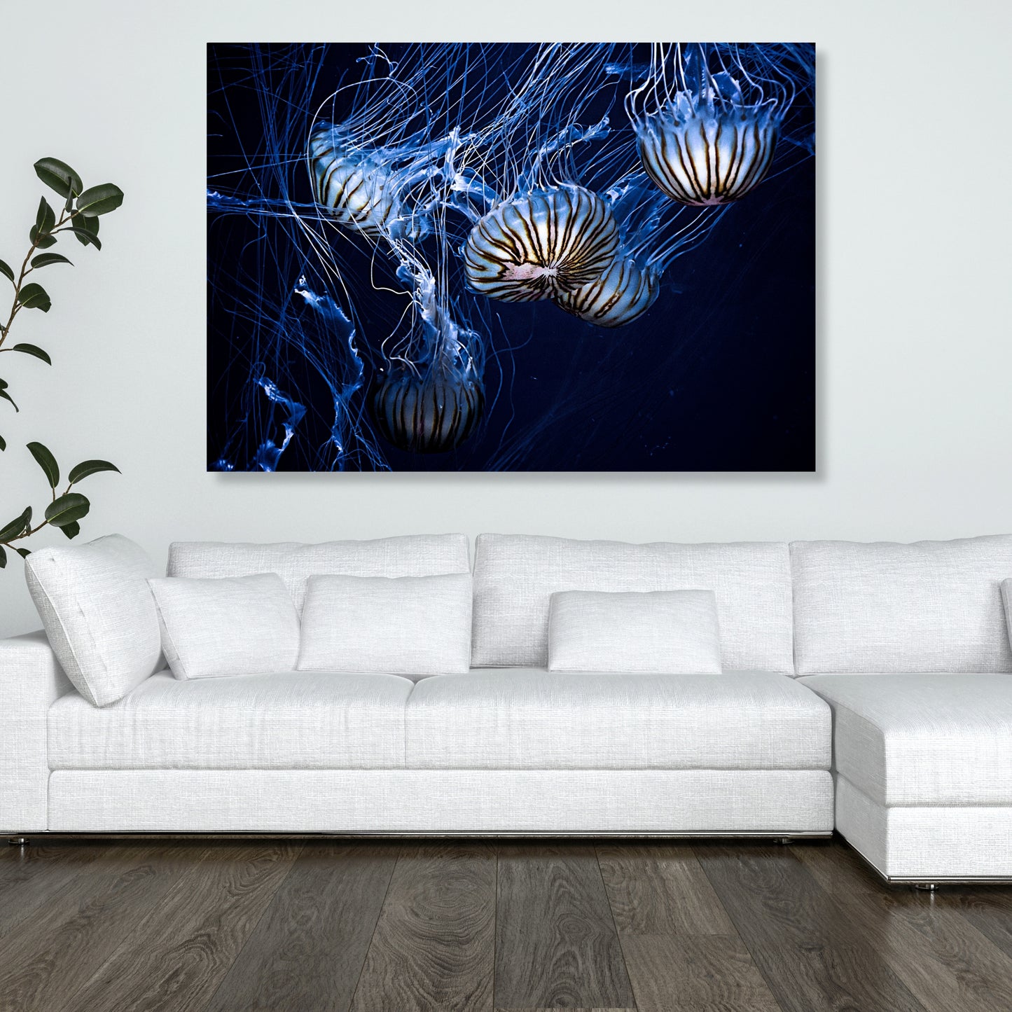 Jellyfish Glow Wall Art Canvas Print