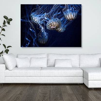 Jellyfish Glow Wall Art Canvas Print