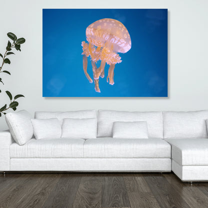 Jellyfish Serenity Wall Art Canvas Print