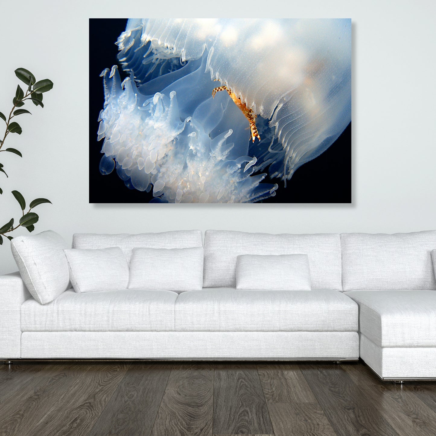 Breathtaking Wall Art Canvas Print
