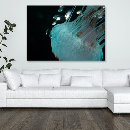 Jellyfish & Friends Wall Art Canvas Print