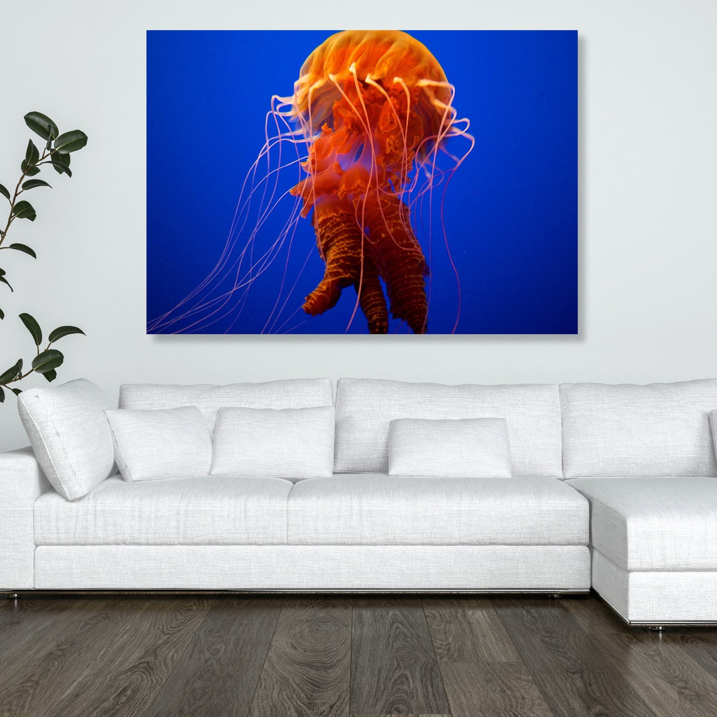 Orange Jellyfish Wall Art Canvas Print
