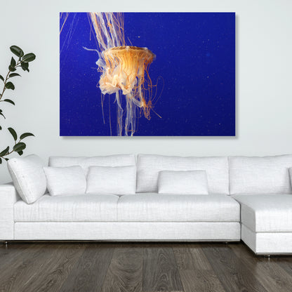 Jellyfish Depths Wall Art Canvas Print