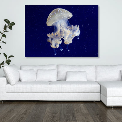 Floating Wall Art Canvas Print