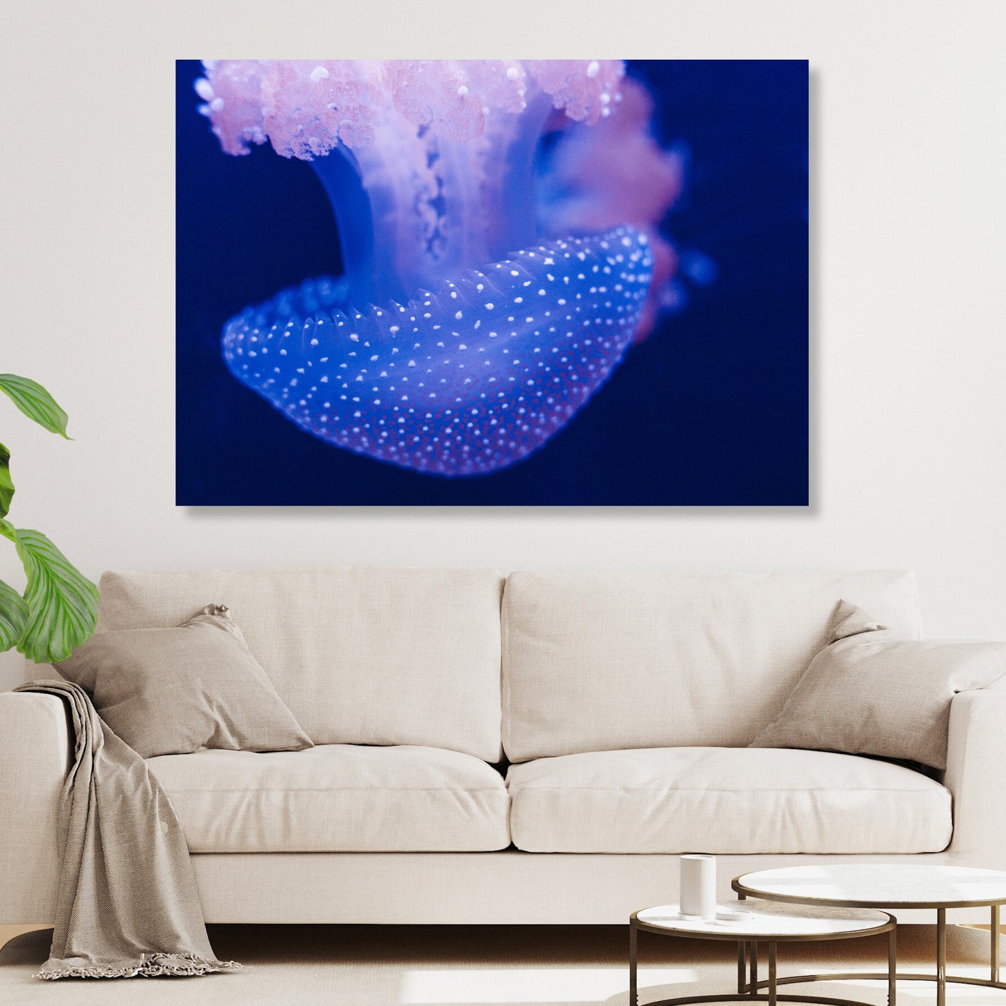 Jellyfish Indigo Wall Art Canvas Print