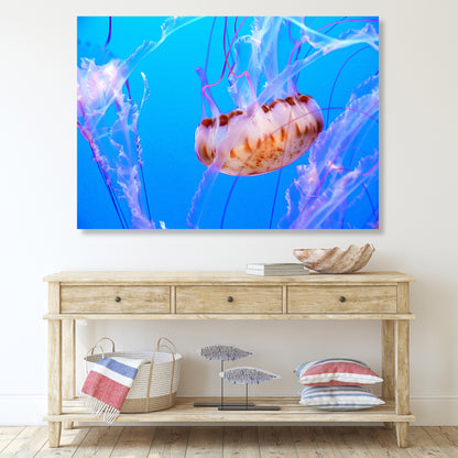 Jellyfish Beauty Wall Art Canvas Print