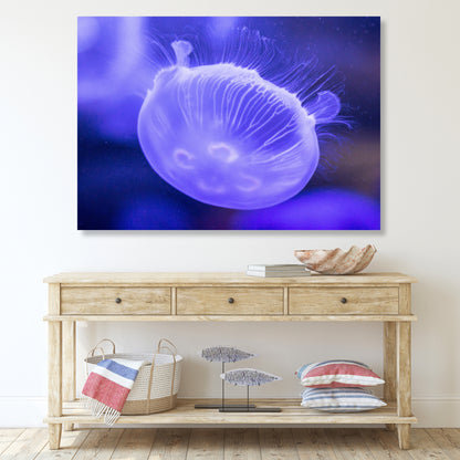 Violet Swimmer Wall Art Canvas Print