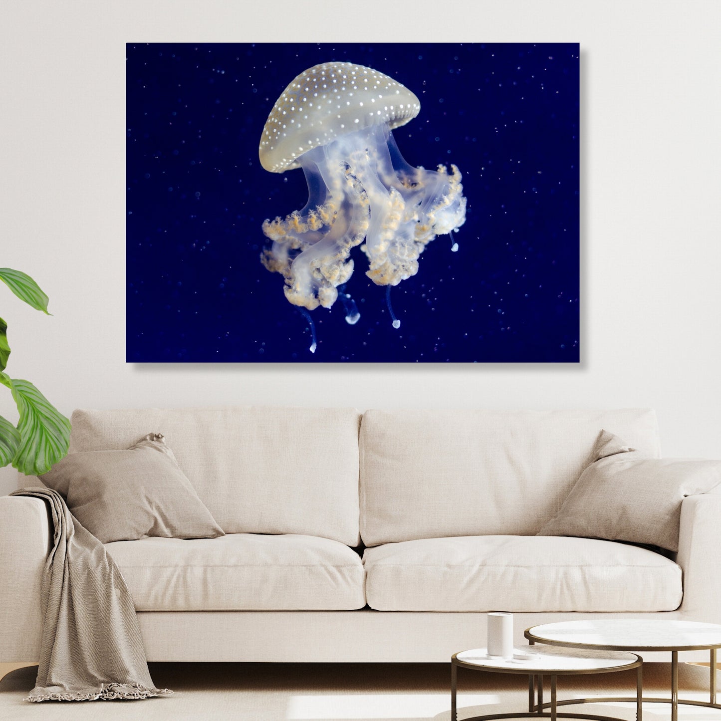 Floating Wall Art Canvas Print