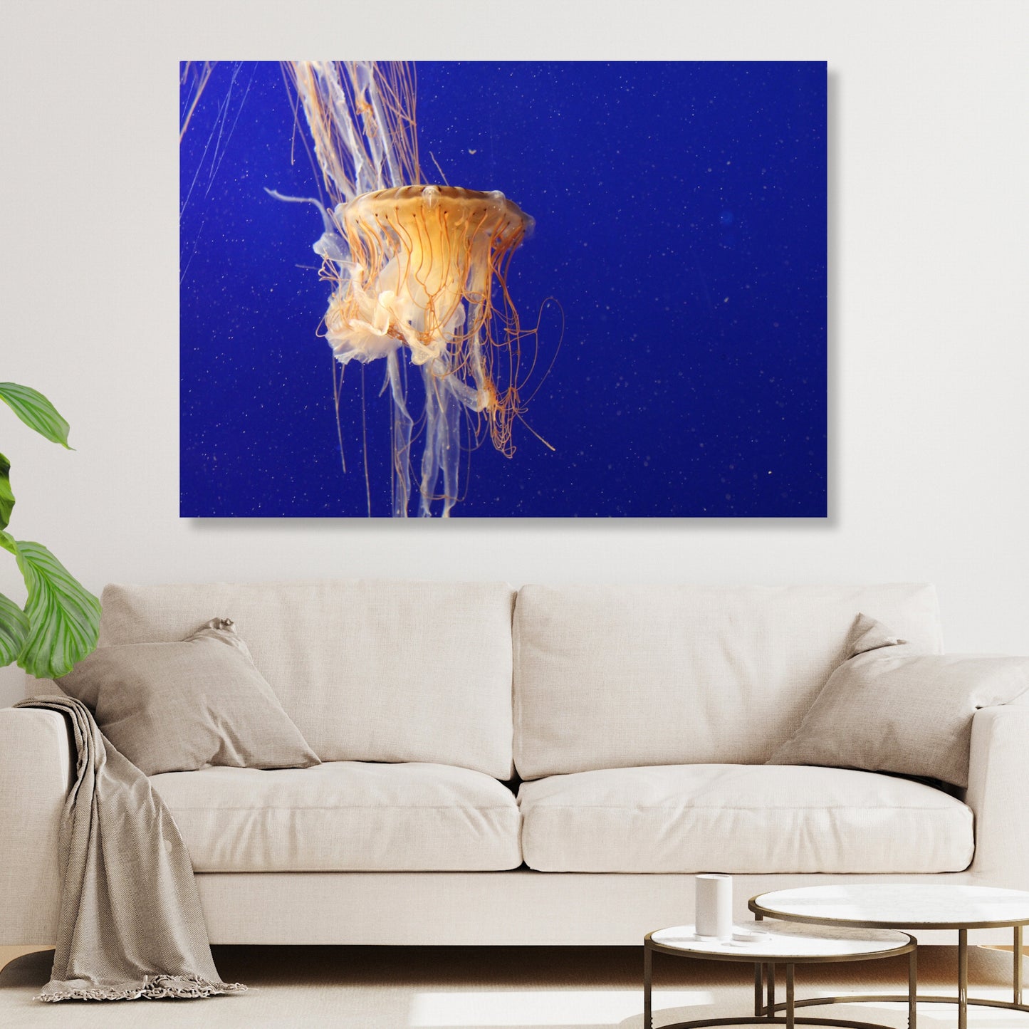 Jellyfish Depths Wall Art Canvas Print