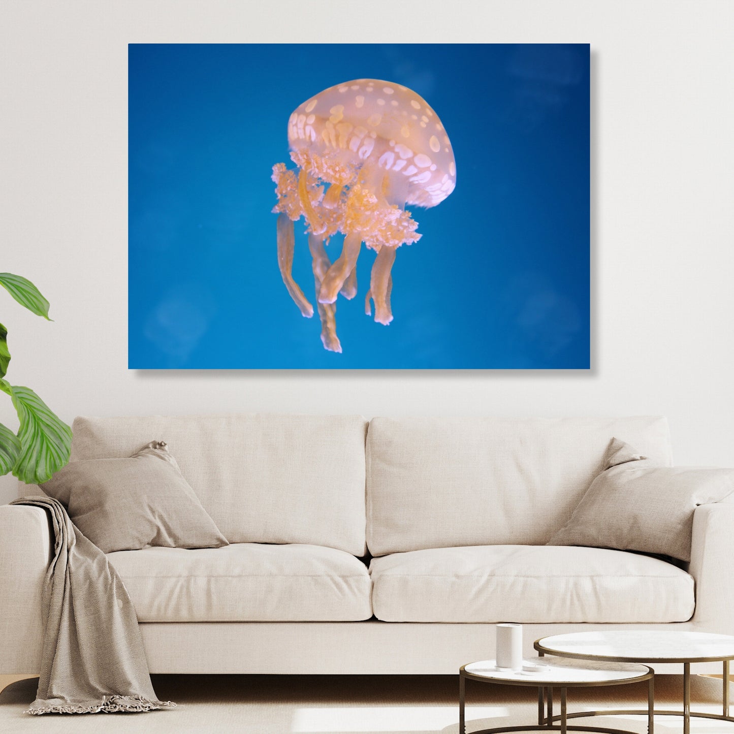 Jellyfish Serenity Wall Art Canvas Print