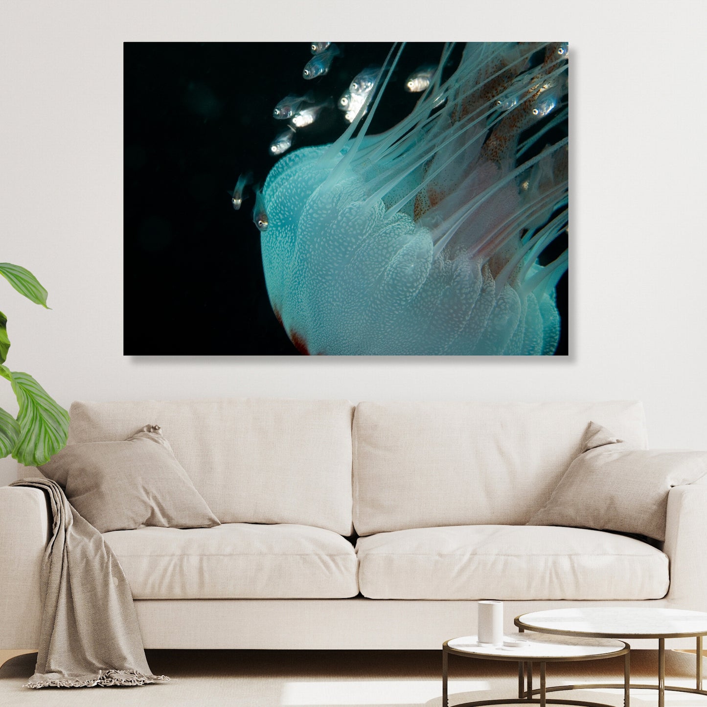 Jellyfish & Friends Wall Art Canvas Print