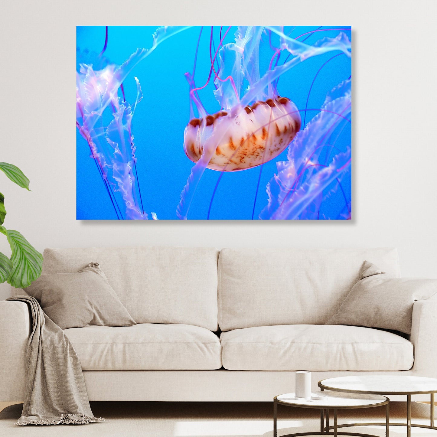 Jellyfish Beauty Wall Art Canvas Print