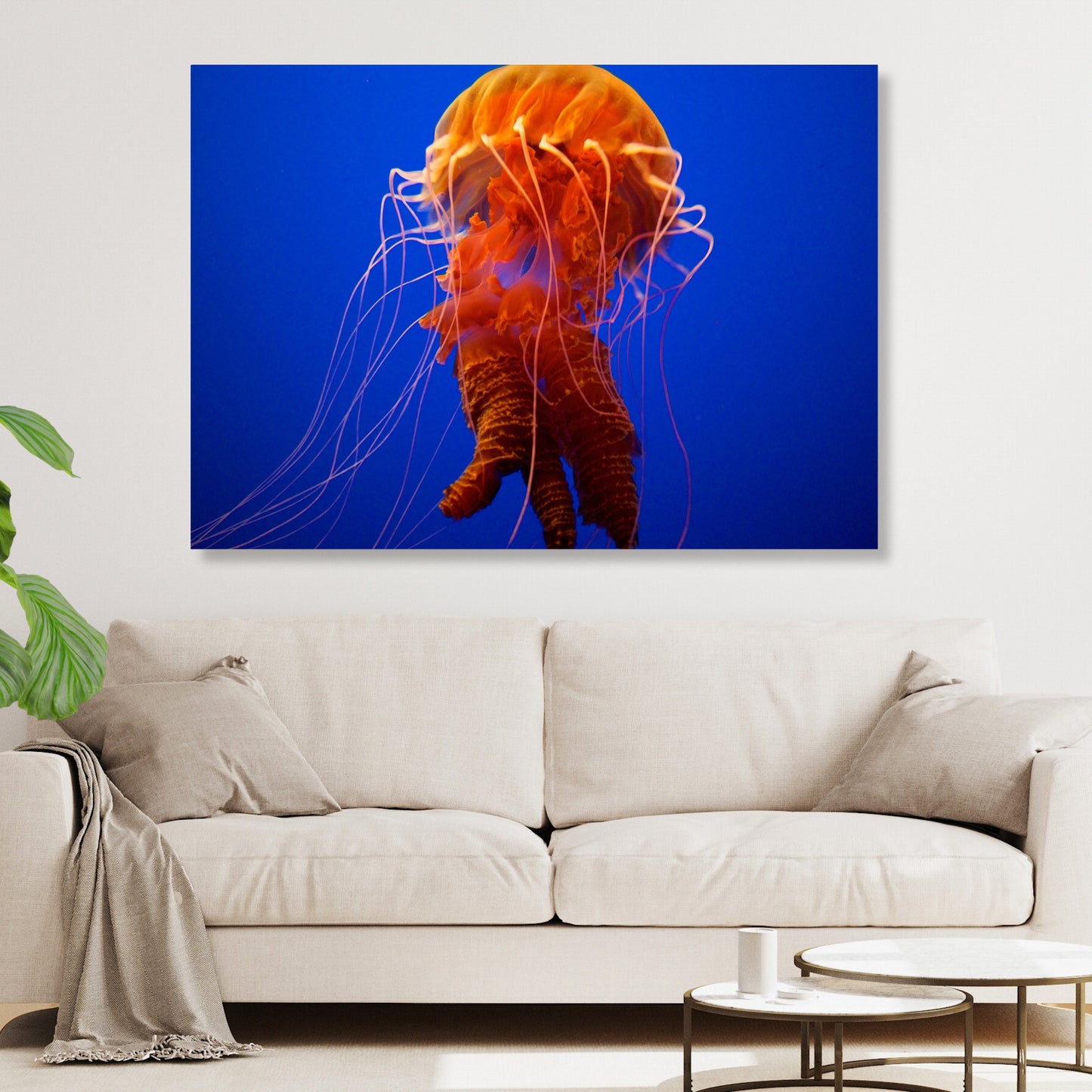 Orange Jellyfish Wall Art Canvas Print