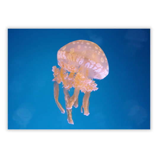 Jellyfish Serenity Wall Art Canvas Print