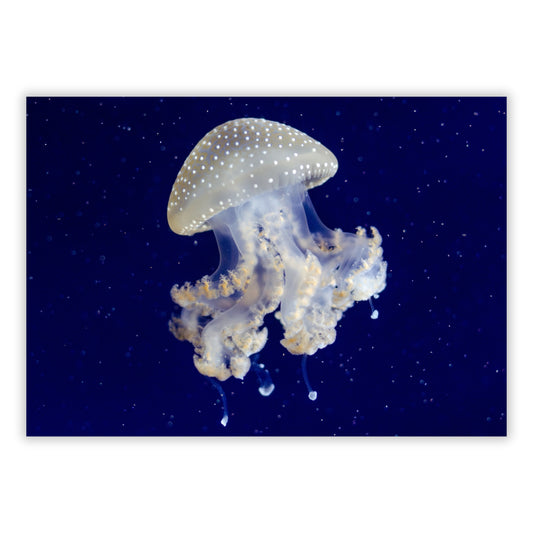Floating Wall Art Canvas Print