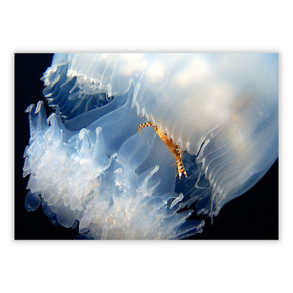 Breathtaking Wall Art Canvas Print