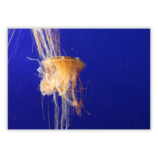 Jellyfish Depths Wall Art Canvas Print