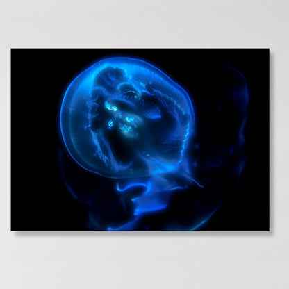 Bioluminescent Wall Art Canvas Print
