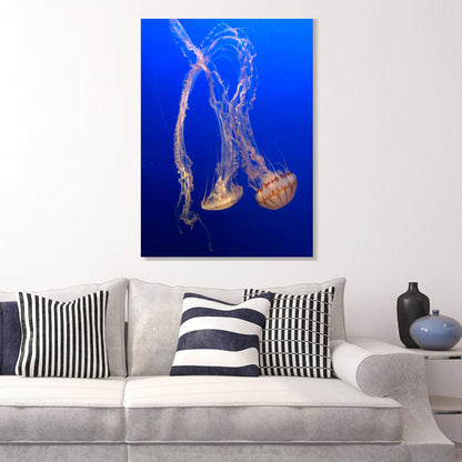 Majestic Wall Art Canvas Print