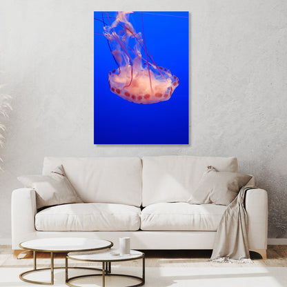 Jelly Dance Wall Art Canvas Print