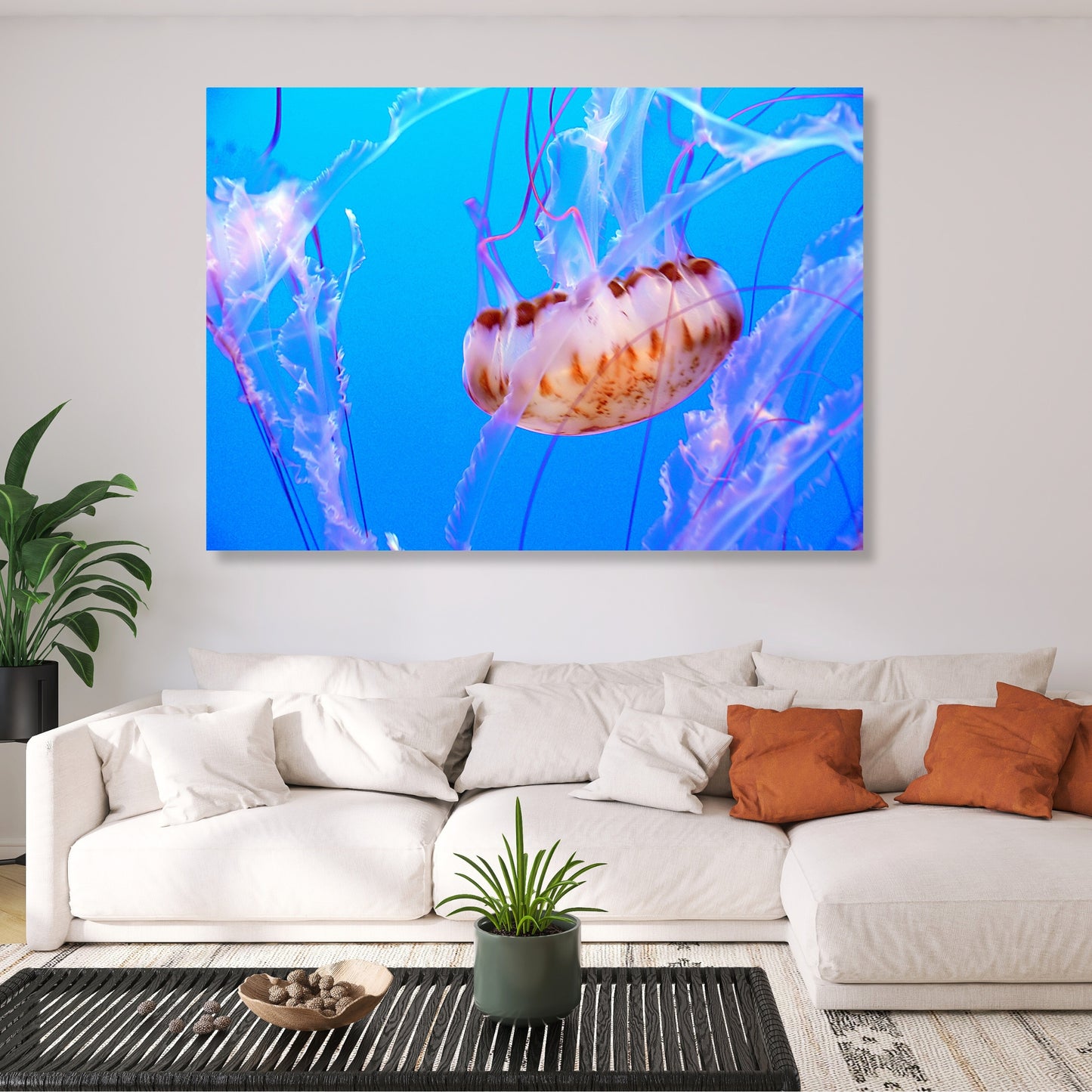 Jellyfish Beauty Wall Art Canvas Print