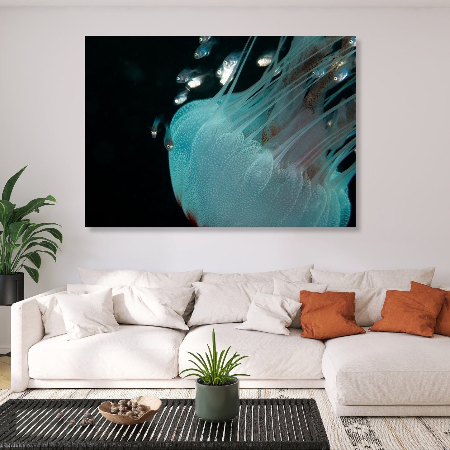 Jellyfish & Friends Wall Art Canvas Print