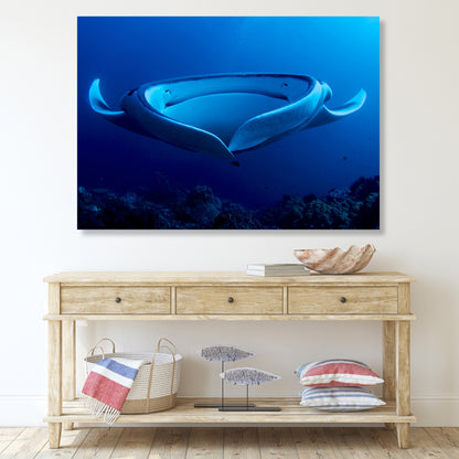 Manta Ray's Hug Wall Art Canvas Print