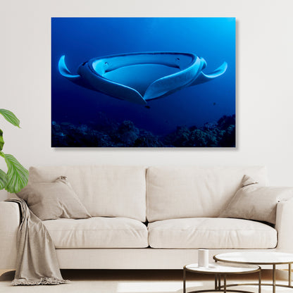 Manta Ray's Hug Wall Art Canvas Print