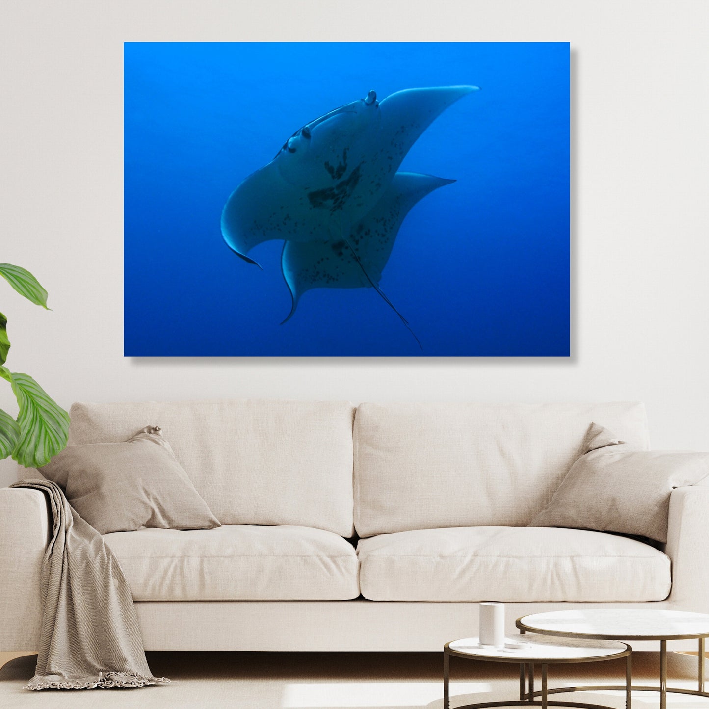 Manta Ray's Welcome Wall Art Canvas Print